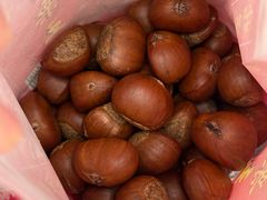 -阿男野栗王(金门路店)