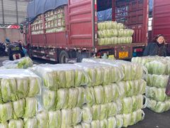 -江杨农产品批发市场