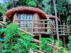 -鼓岭旅游度假区