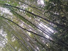 -石燕湖生态旅游景区