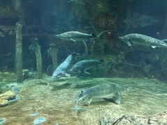 -华夏文旅海洋公园