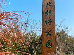 -嘉北郊野公园