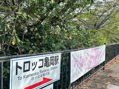-岚山嵯峨野观光小火车