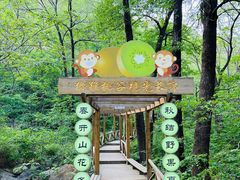 -大岭沟猕猴桃谷风景区