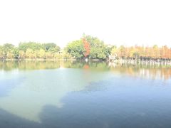 -寮步香市古镇休闲景区