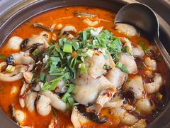 -俭朴菜(鲁磨路店)