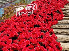 -万科生活广场(东莞松山湖店)