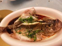 -椿记烧鹅(北门店)