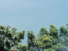 -西涌国际滨海旅游区