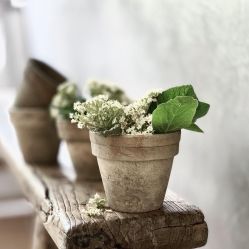 -薇兰专业脱毛连锁机构