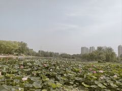 -太阳宫公园
