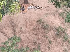 -石家庄市动物园