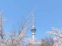 -北京稻香村(第三店)