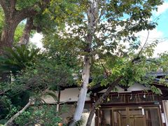 -难波八坂神社