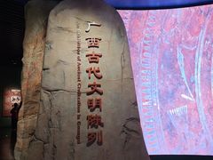 -广西壮族自治区博物馆