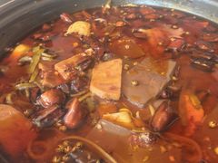 -辣婆婆(航天桥店)