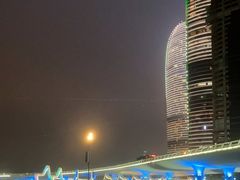 -演武大桥观景平台