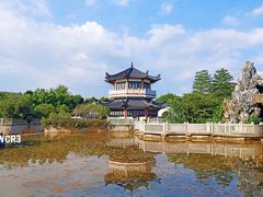 -广东花都湖国家湿地公园