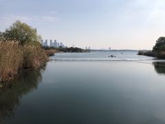 -渤公岛生态公园