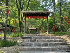 -黄金寨原生态旅游区