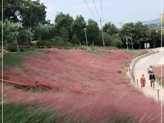 -牛岗山公园