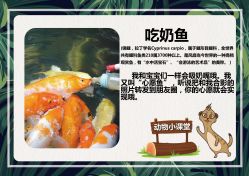 -酷嗒动物文化乐园(cutezoo西溪乐天城店)