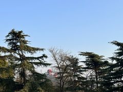 -观象山公园