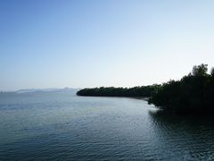 -深圳湾公园(南山区)