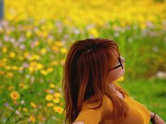 -菊园百果园