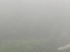 -大别山烤肉(弘阳广场店)