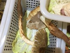 -易门野生菌府·菌海森林(月牙潭公园店)