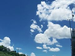 -海吉星国际农产品物流管理有限公司