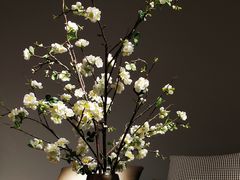 -居然之家(咸阳店)