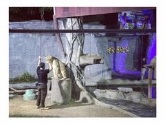 -清迈夜间动物园