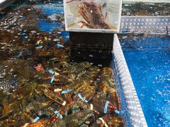 水产区-盒马鲜生(红莲店)