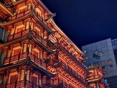 -大佛寺高级素食自助餐厅