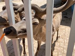 -赛汗塔拉风情园