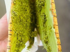 -OUR Bakery(SKP-S店)