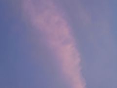 -深圳新东方烹饪学校