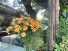 -春暖花开(西溪店)