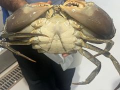 -迪拜帆船酒店海底餐厅