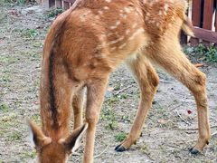 -上海交通大学(闵行校区)