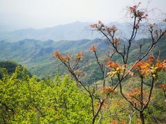 -慕田峪长城