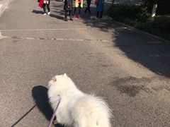 -重庆彩云湖湿地公园