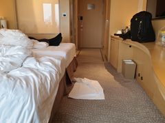 -广州白天鹅宾馆