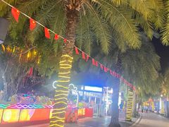 -三亚海昌梦幻海洋不夜城