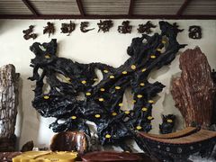 -云南勐巴娜西珍奇园