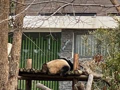 -武汉动物园