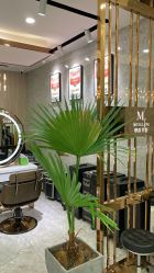 -Meng Lang 梦郎白金店