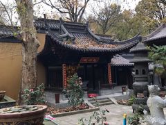 -灵谷景区